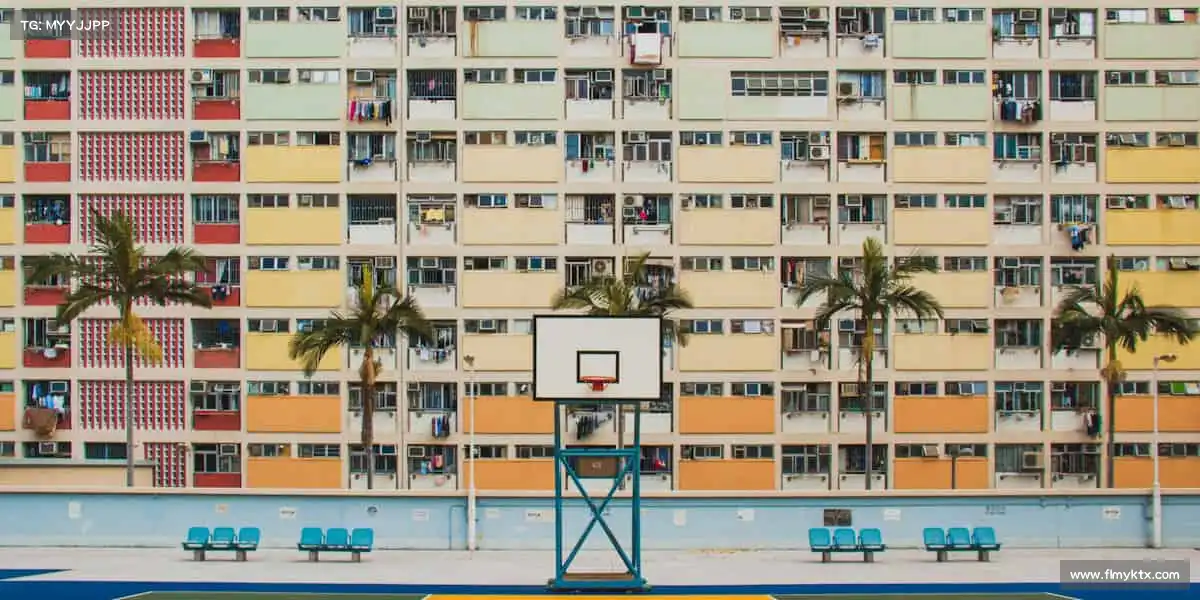 行业领先的理由